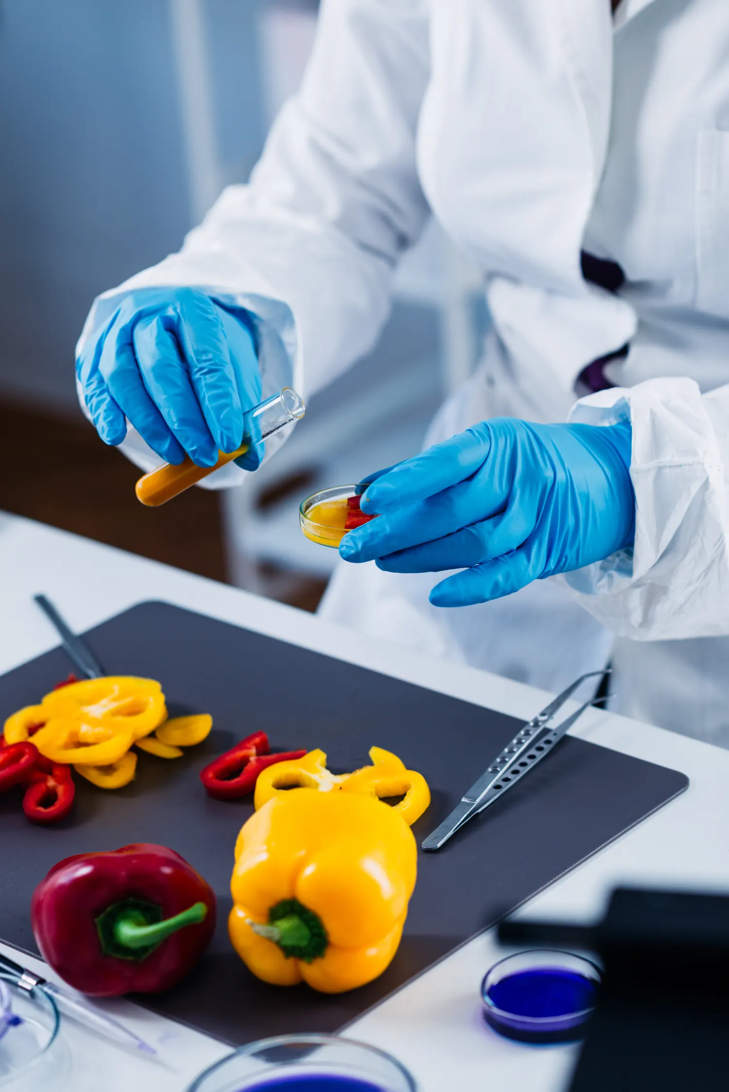 A scientist examining peppers in a food quality-control lab
