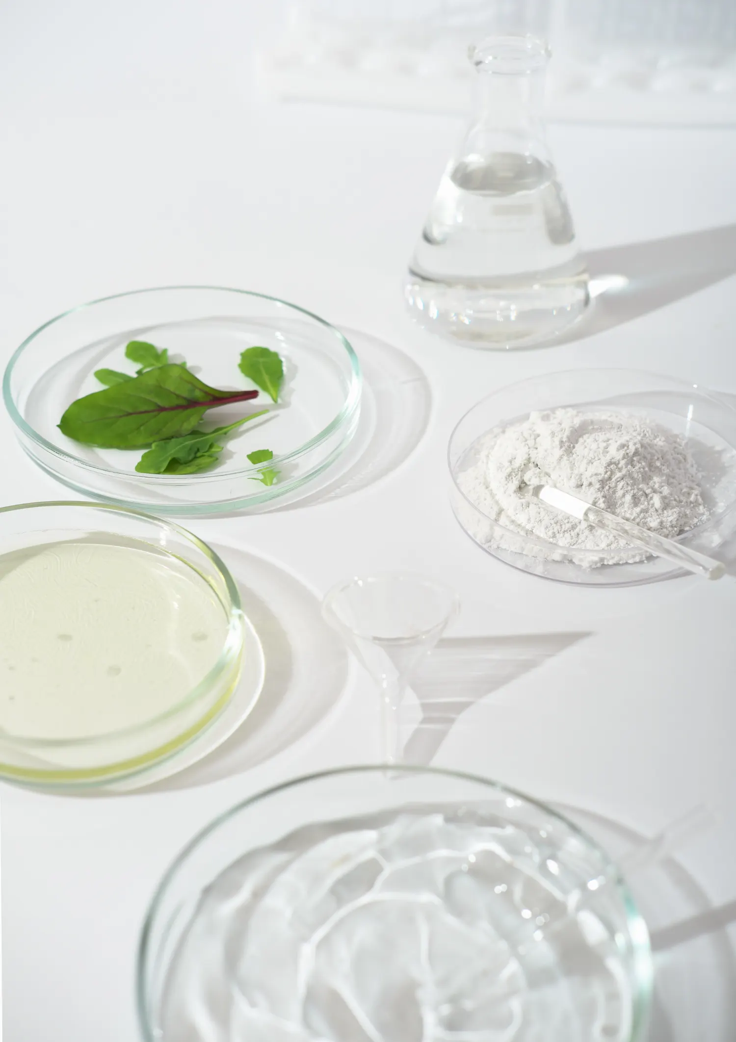 Natural cosmetic ingredients with green leaves and clay